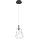 Norah 1 Light 5.5 inch Matte Black Standard Pendant Ceiling Light in Clear