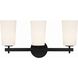 Colton Bath Vanity Light Wall Light in Black