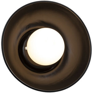 Ambiance Collection 1 Light 10 inch Carbon Matte Black Wall Sconce Wall Light