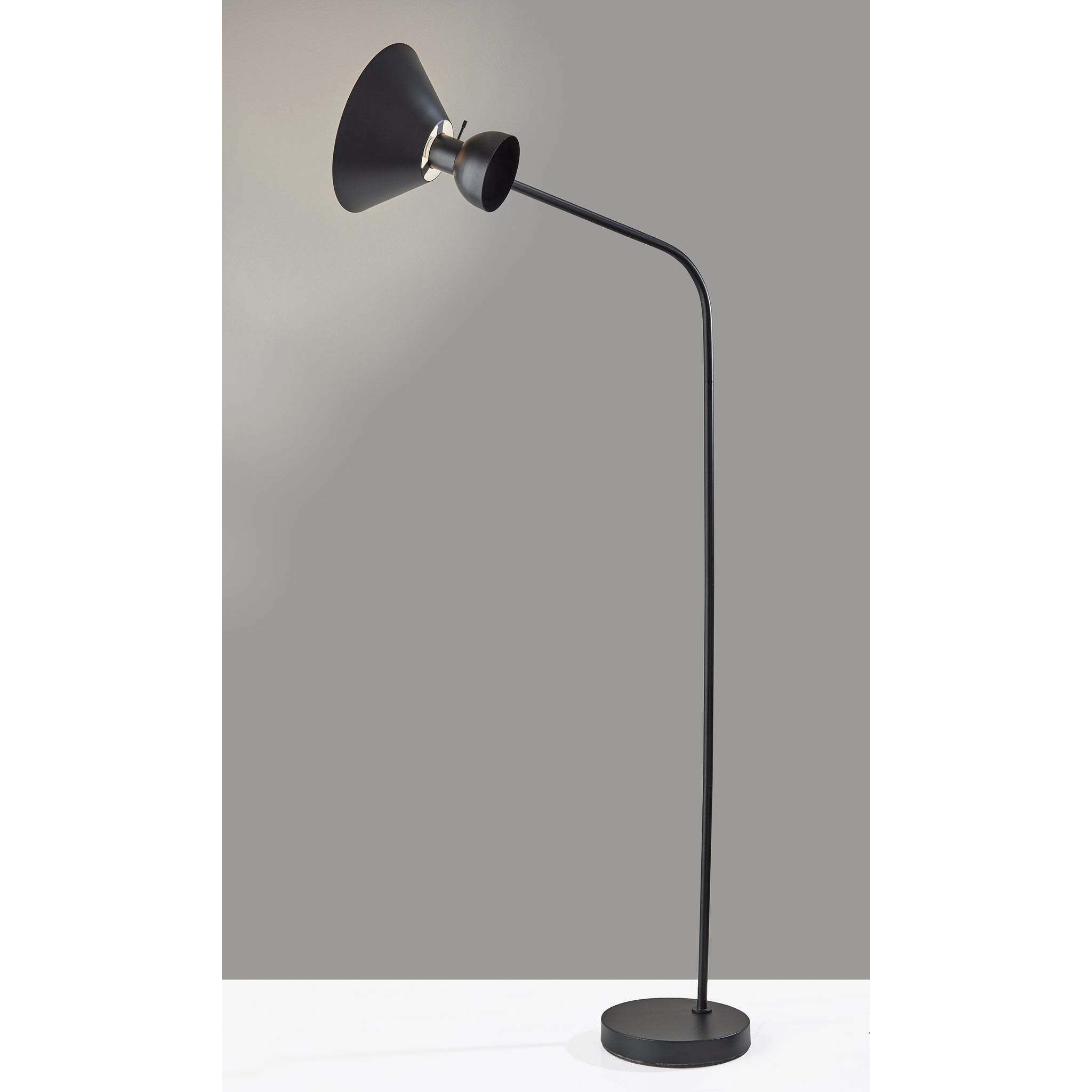 Duke 67.5 inch 100.00 watt Black Floor Lamp Portable Light
