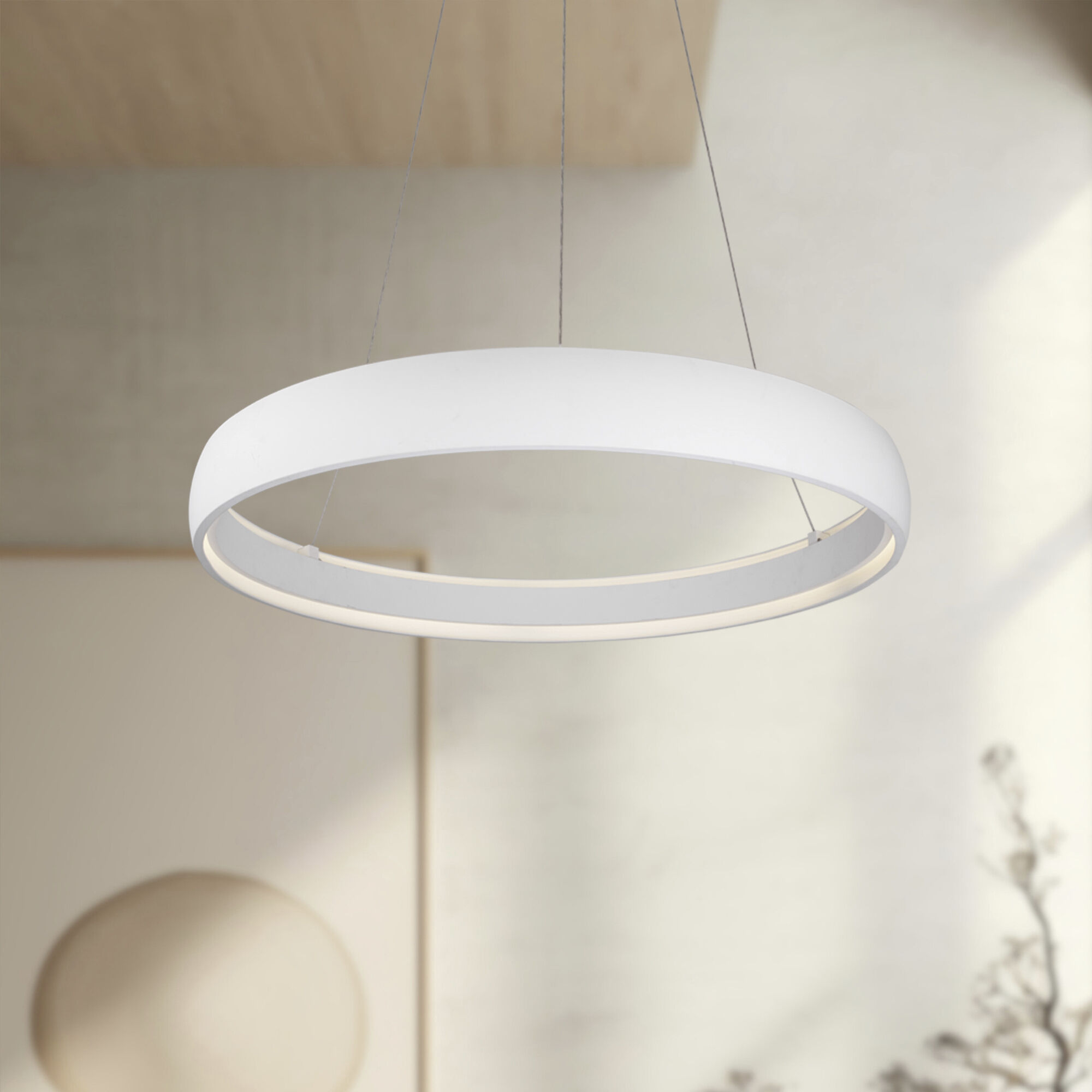 Halo Pendant Ceiling Light in White