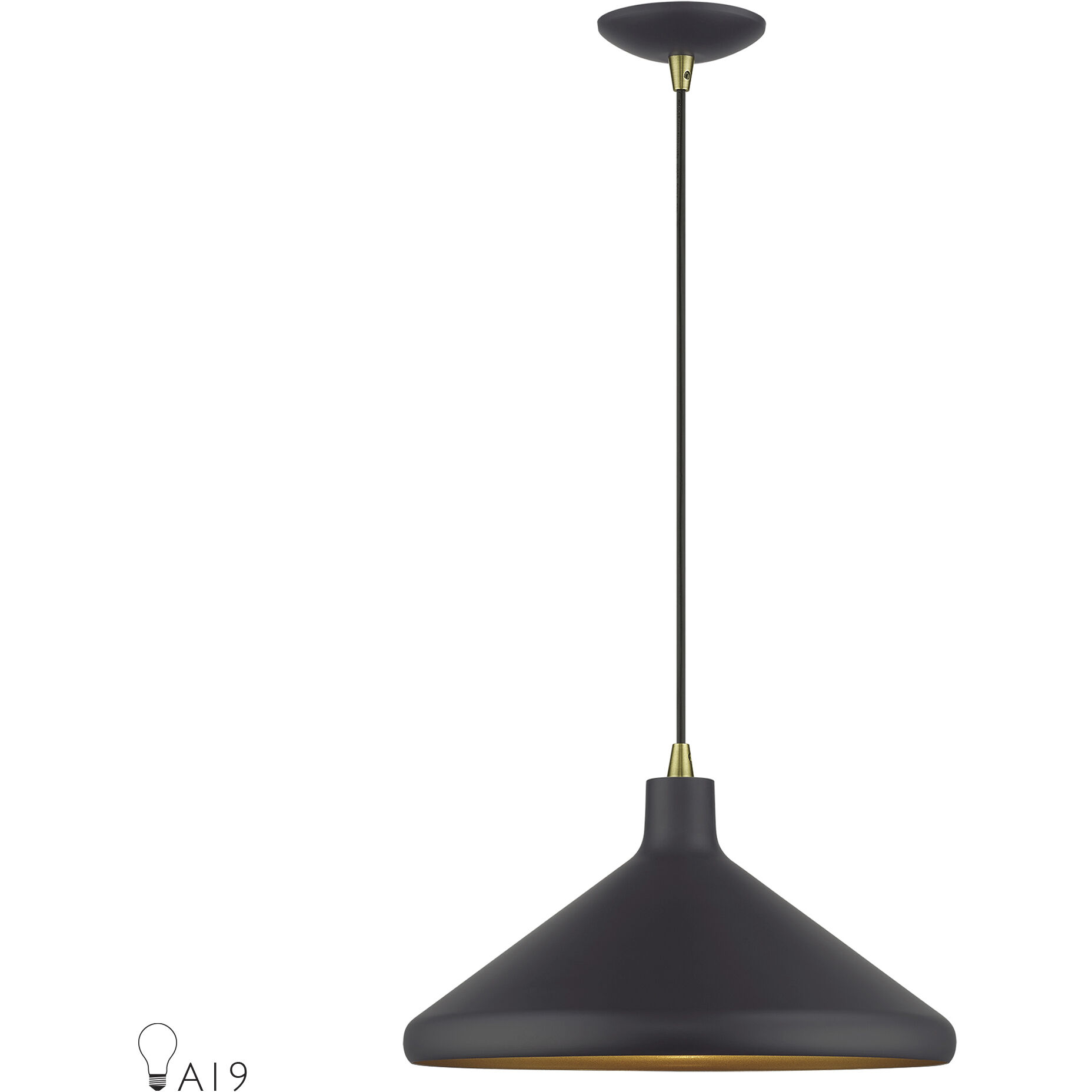 Geneva 1 Light 15.25 inch Bronze with Antique Brass Accents Pendant Ceiling Light