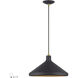 Geneva 1 Light 15.25 inch Bronze with Antique Brass Accents Pendant Ceiling Light