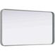 Remy 40 X 22 inch Silver Mirror