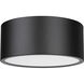 Harley 2 Light 12 inch Matte Black Flush Mount Ceiling Light