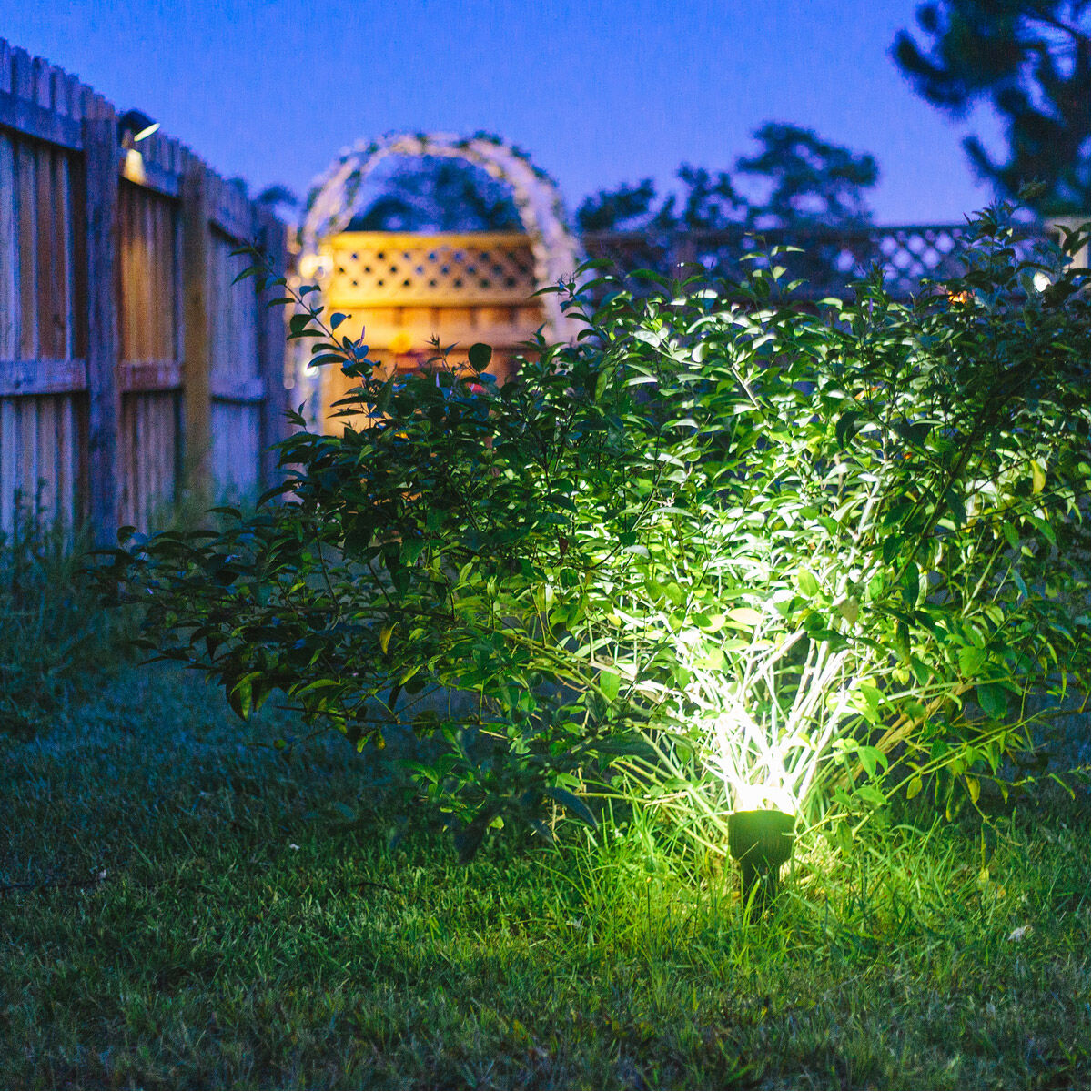 Christopher Black 16.00 watt LED Spot Light, Solar