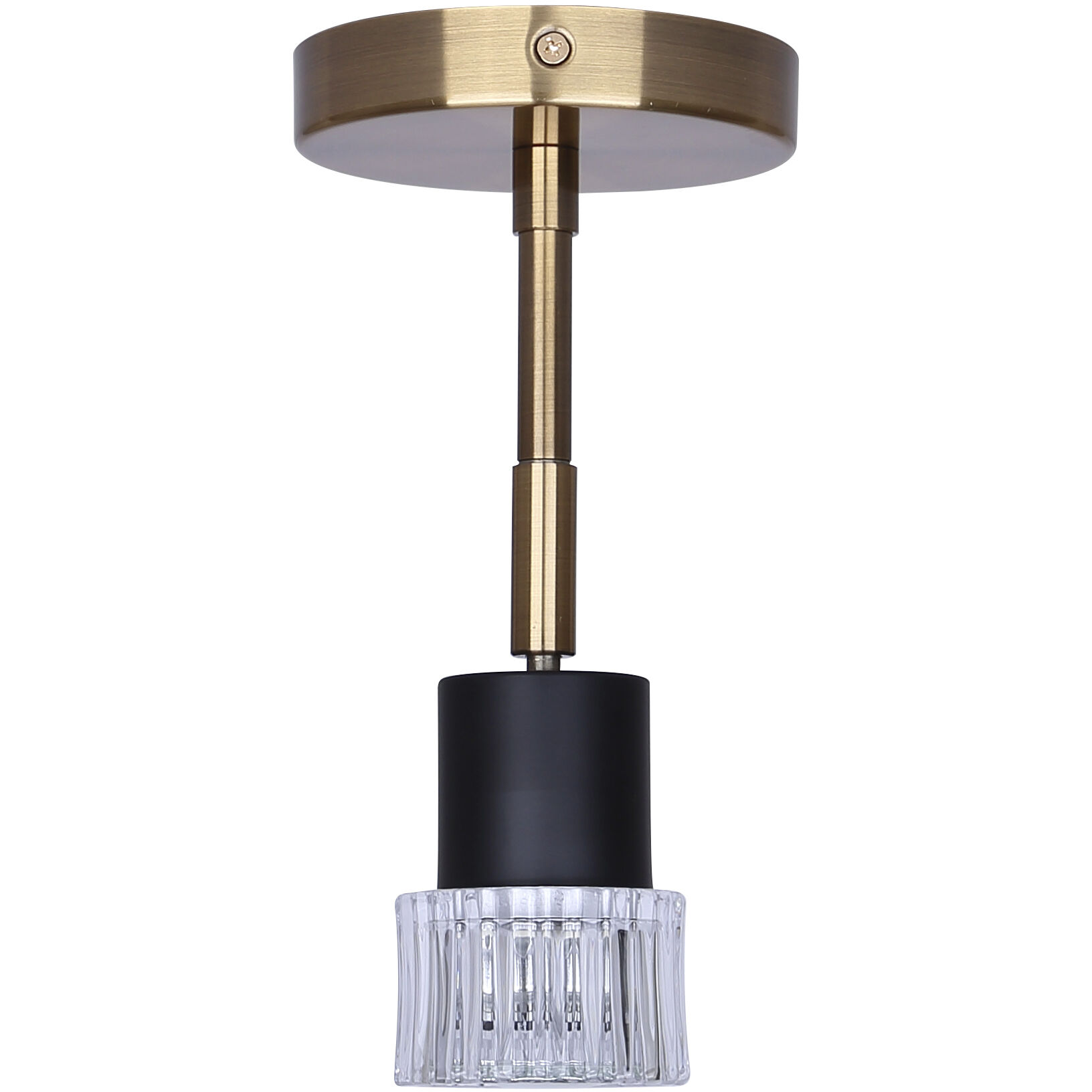 Elsee 1 Light Black/Gold Track Lighting Ceiling Light