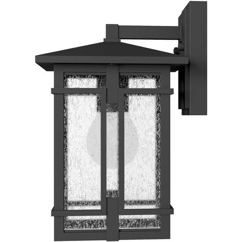 Tucker LED 12 inch Museum Black Outdoor Wall Mount Lantern, Small