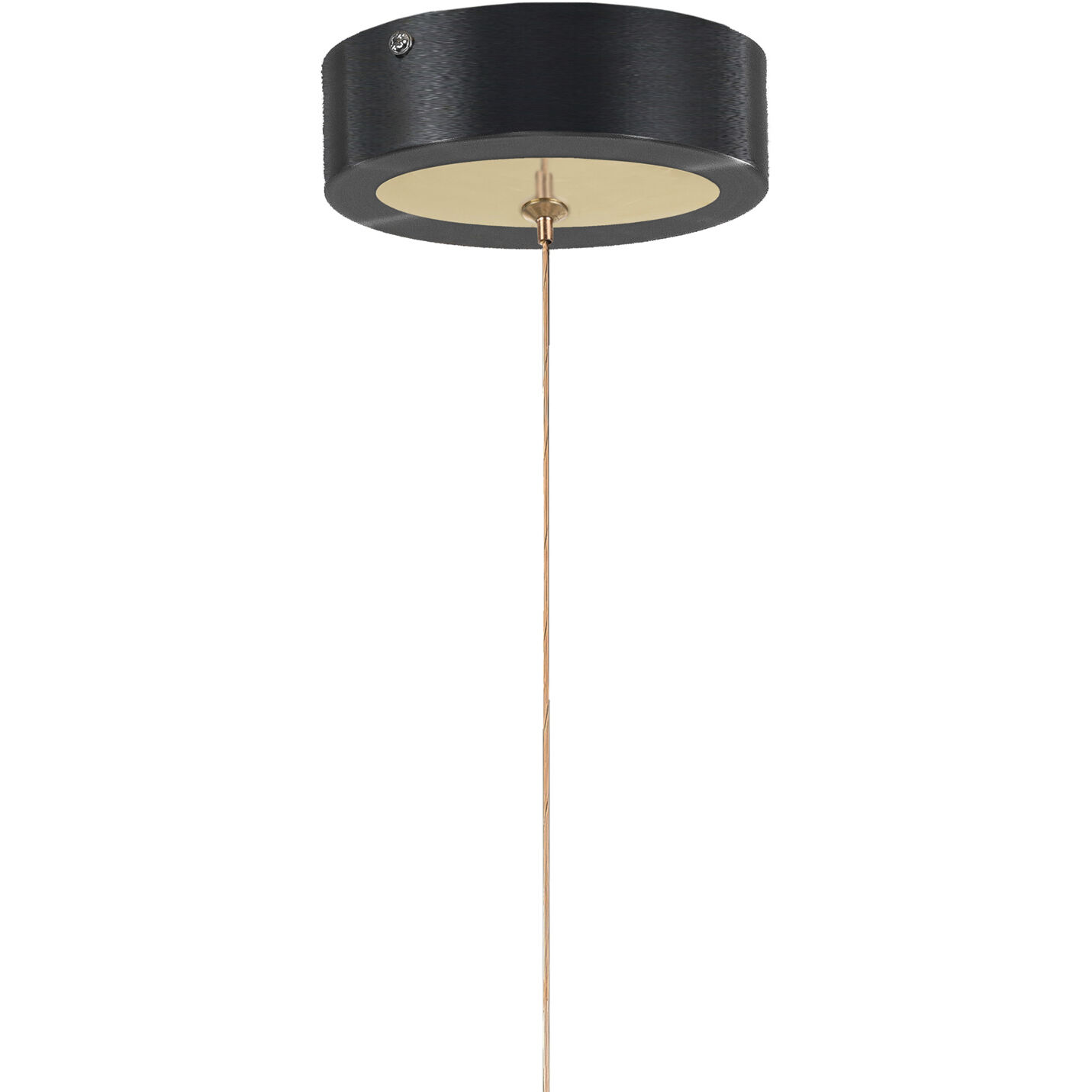 Butterfly Pendant Ceiling Light