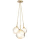 Gem LED 13.5 inch Gilded Brass Chandelier Ceiling Light in Amber, 2700K LED, Cluster