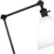 Alloy 10.75 inch 60 watt Deep Patina Bronze Floor Lamp Portable Light in Cased White Glass