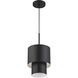 Zolana 1 Light 8.5 inch Black Mini Pendant Ceiling Light