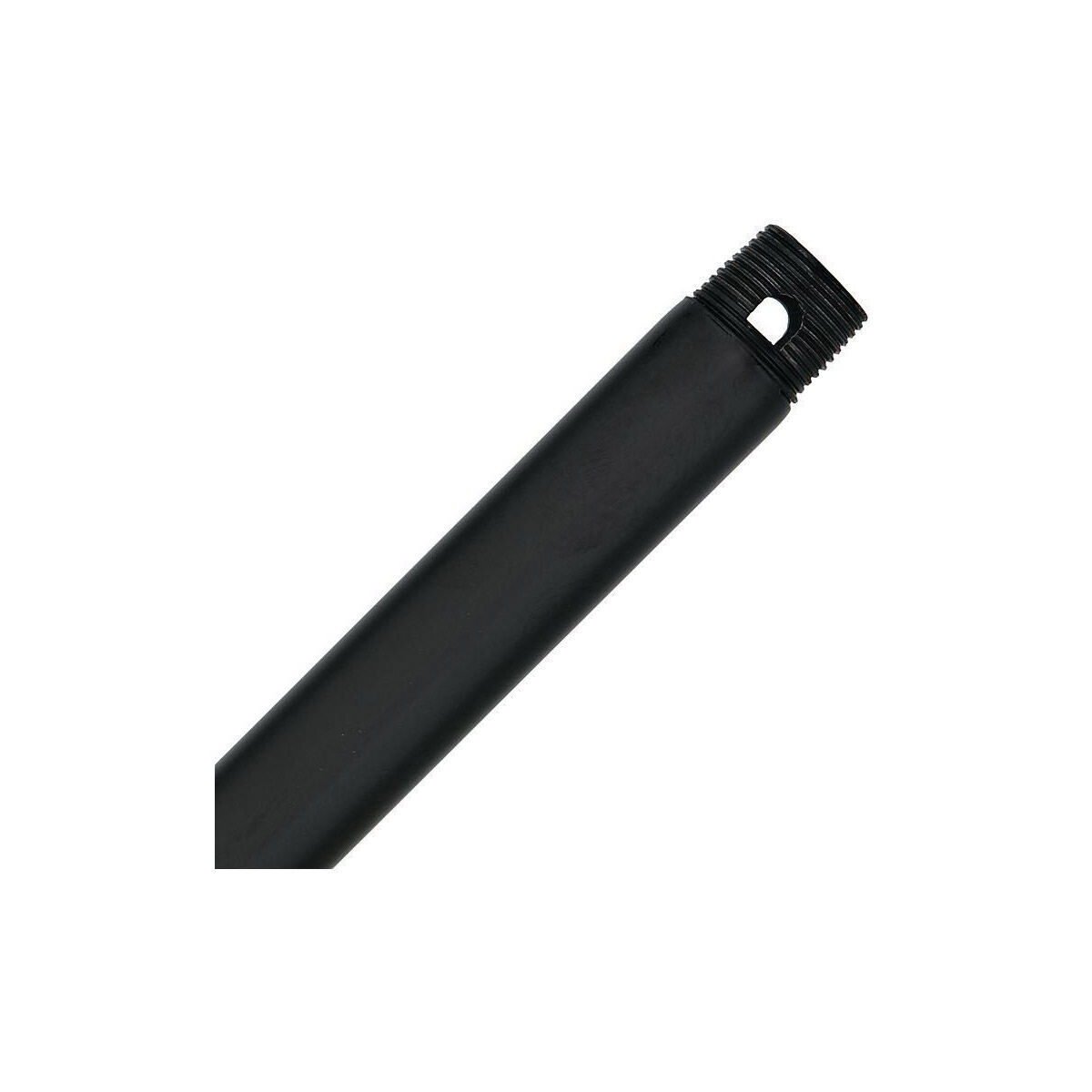 Lillian Black Indoor Stem