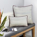 Amy 20 X 5 inch Multi - Beige and Brown Pillow