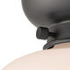 Aditi Large Bell 1 Light 8 inch Matte Black Flush Mount Ceiling Light in Matte White Glass, Aditi
