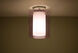 Pahu 1 Light 8 inch Satin Nickel Semi-Flush Mount Ceiling Light in Transparent Amethyst/Opal Glass, Incandescent