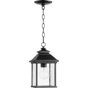 Pearson 1 Light 7 inch Noir Outdoor Pendant, Clear Seeded