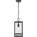Nuri 1 Light 8 inch Black Outdoor Chain Mount Ceiling Fixture