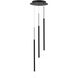 Viggo LED 12 inch Black Multi-Light Pendant Ceiling Light, dweLED