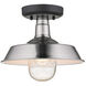 Burry 1 Light 10 inch Satin Nickel Exterior Convertible Pendant