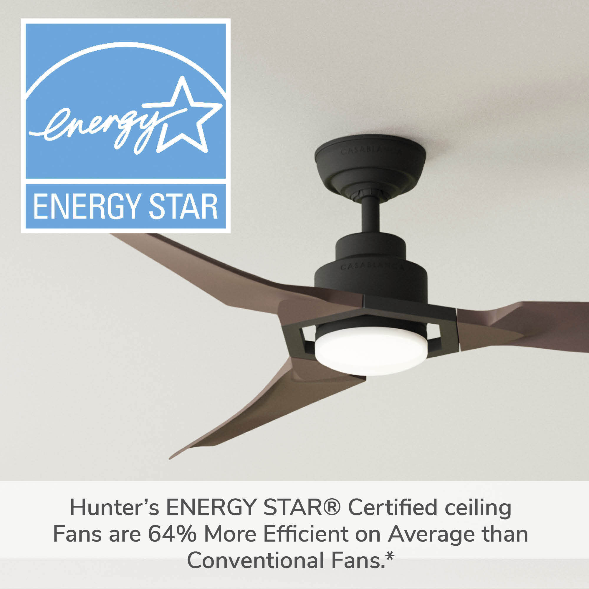 Eula 52 inch Matte Black with Chestnut Blades Outdoor Ceiling Fan