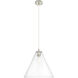 Crown Point 1 Light 16 inch Polished Nickel Pendant Ceiling Light in Clear Glass