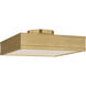 Paloma Contreras Dupont 12 inch Gild Semi-Flush Mount Ceiling Light