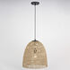 Nassau LED 14 inch Matte Black Pendant Ceiling Light