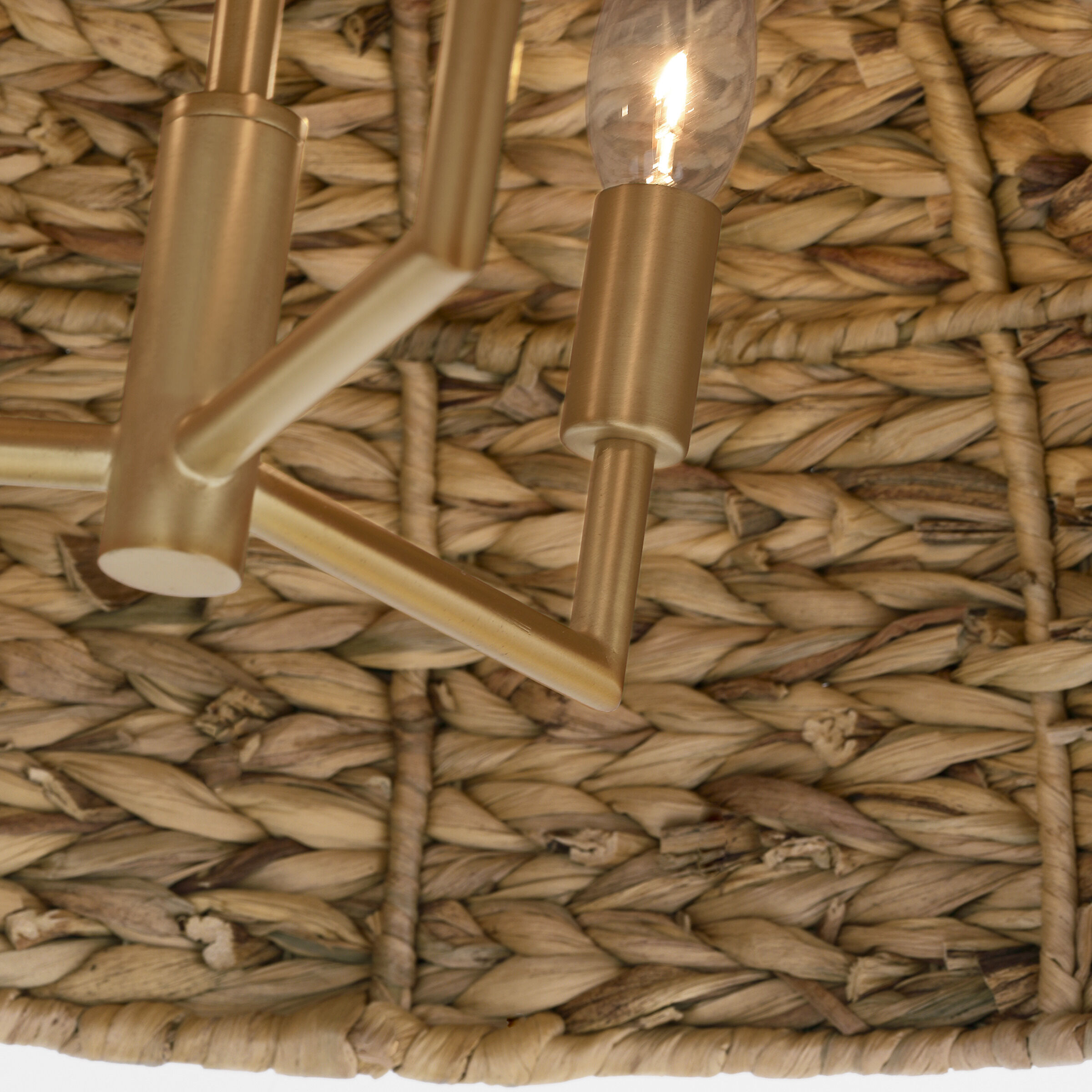 ED Ellen DeGeneres Cay 3 Light 36 inch Burnished Brass Pendant Ceiling Light