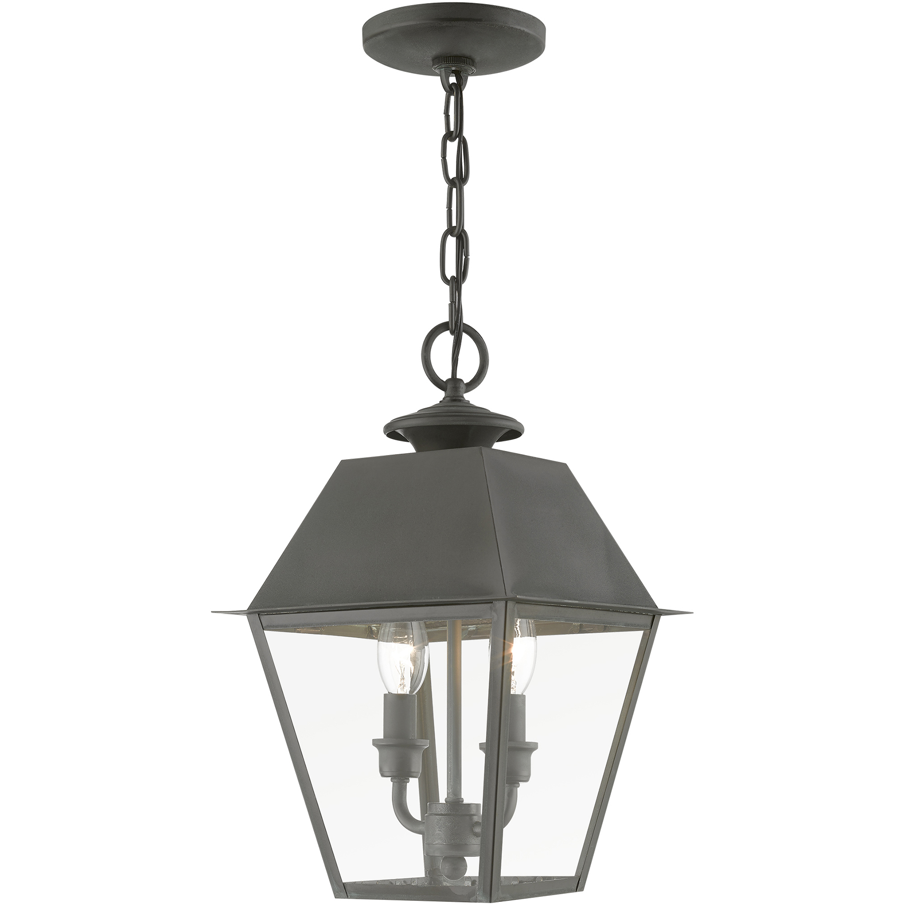 Wentworth 2 Light 9 inch Charcoal Outdoor Pendant Lantern, Medium