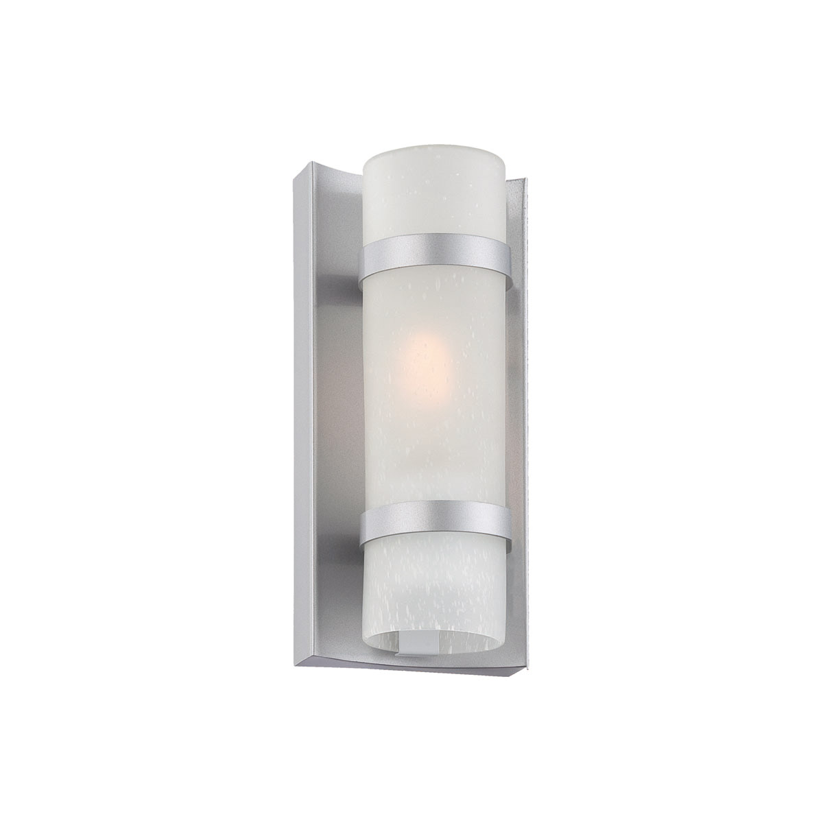 Apollo 1 Light 10 inch Brushed Silver Exterior Wall Mount