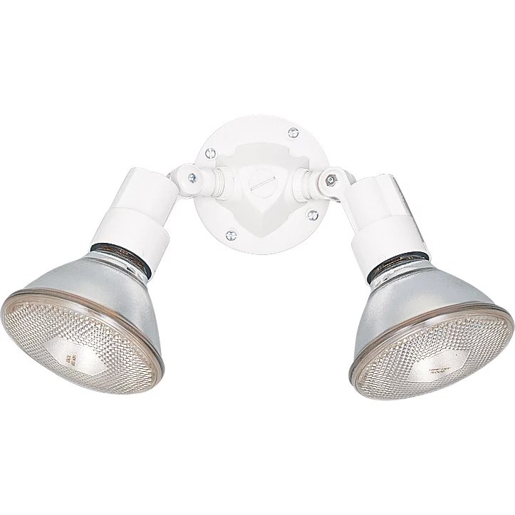 Flood Light 2 Light 11 inch White Outdoor Wall Or Ceiling Flush Mount