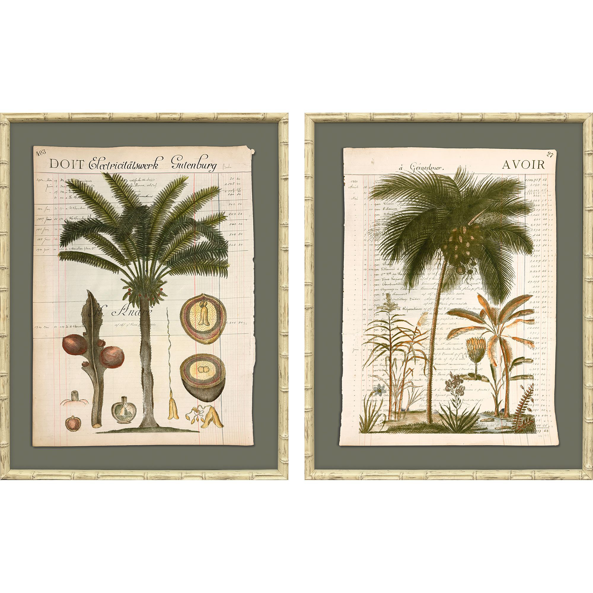 Palm Study I Green and Beige and Brown Framed Art