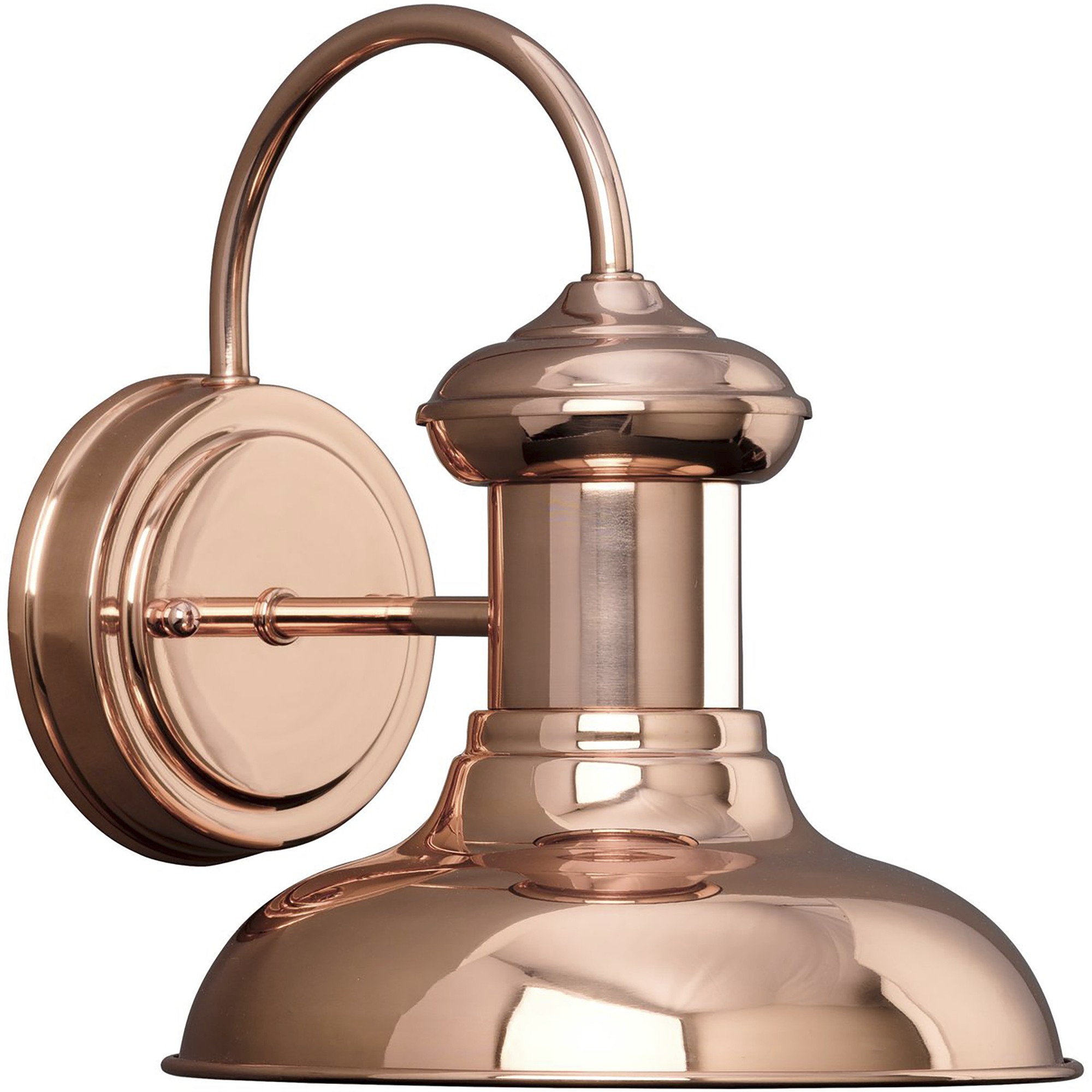 Brookside 1 Light 10 inch Cognac Outdoor Wall Lantern in Copper, Small