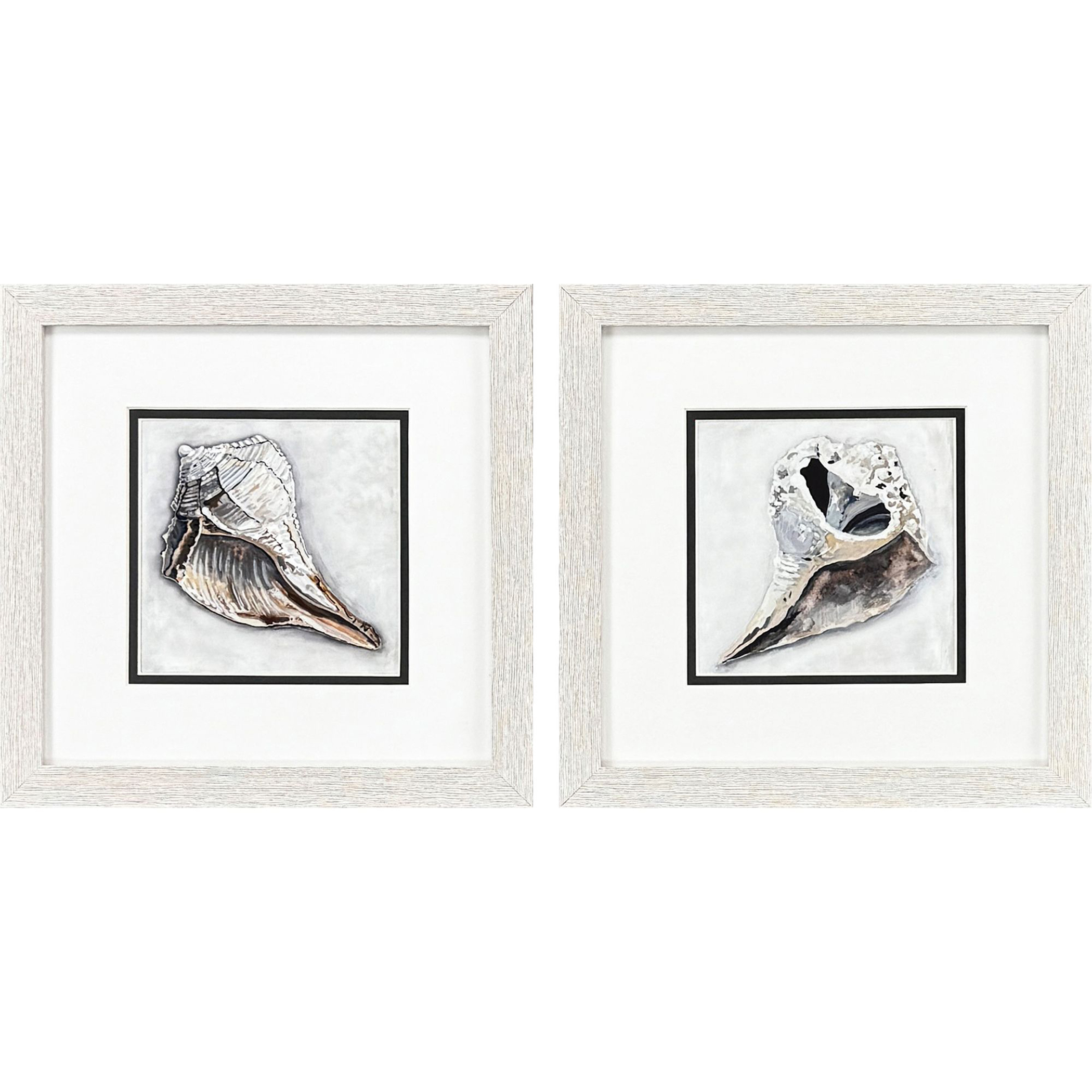 Ocean Treasure Brown and Blue and Gray and Green Framed Art, Propac