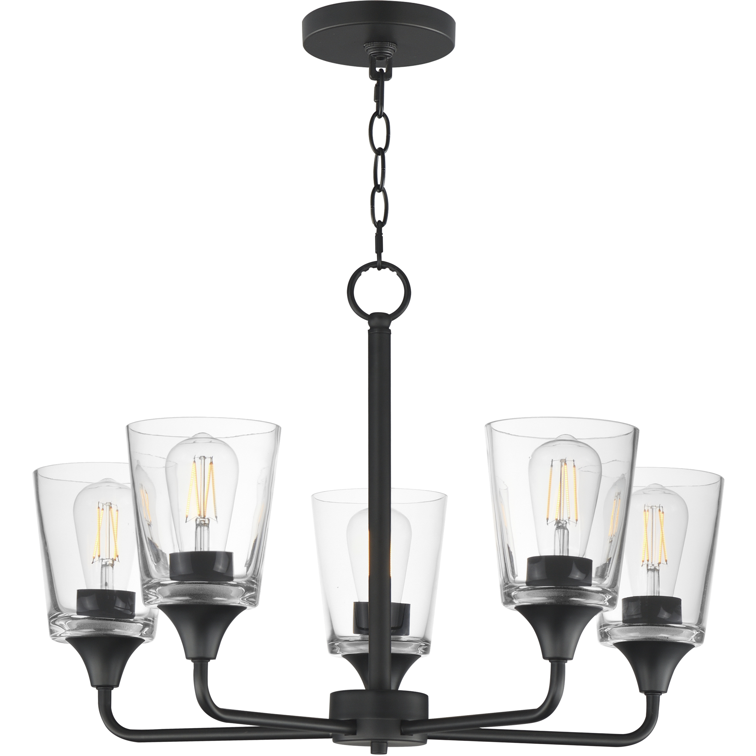 Hudson 5 Light 24 inch Black Single-Tier Chandelier Ceiling Light in Clear