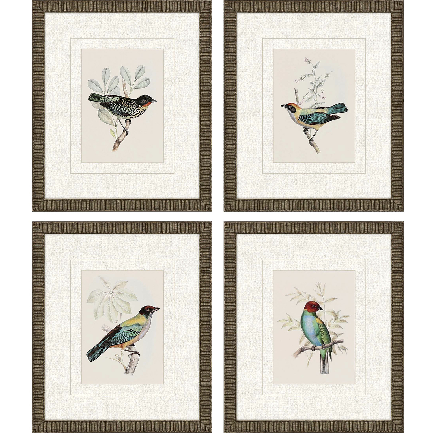 On Perch Multi and Turquoise and Red and Beige Framed Art