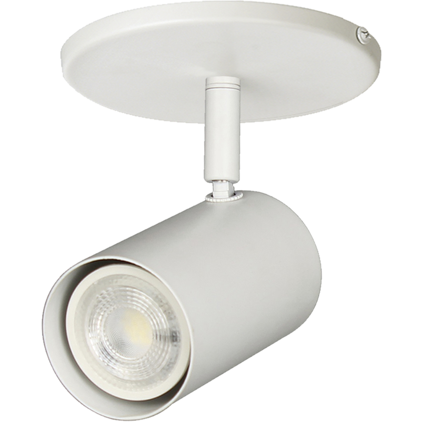 Taylor 1 Light 120 Matte White Spotlight Ceiling Light, Fixed Arm