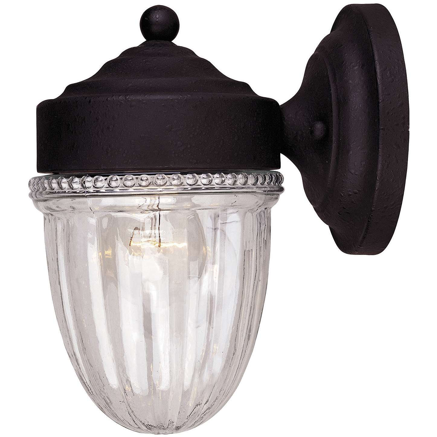 Transitional Outdoor Wall Lantern
