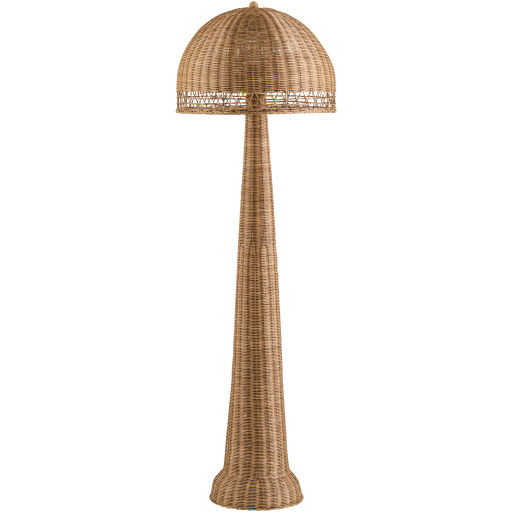 Ripa 59 inch 150 watt Painted Accent Floor Lamp Portable Light