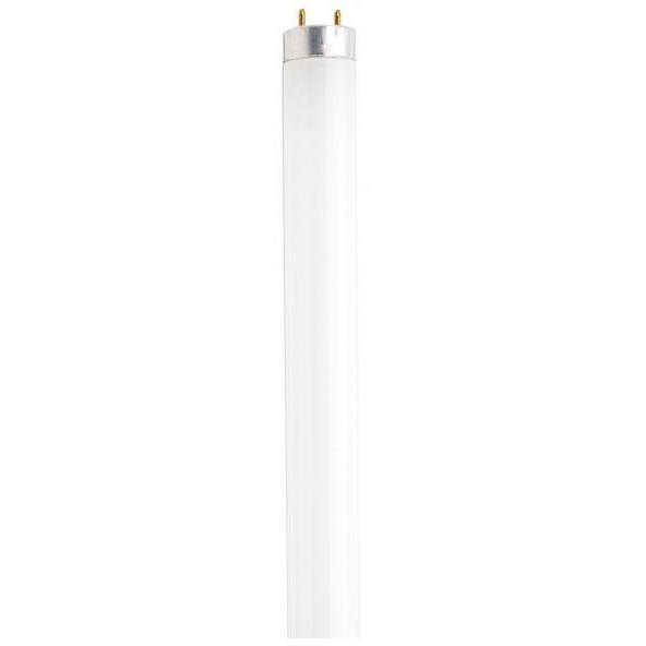 Lumos Fluorescent 40 watt 3000K Light Bulb, T8 Linear