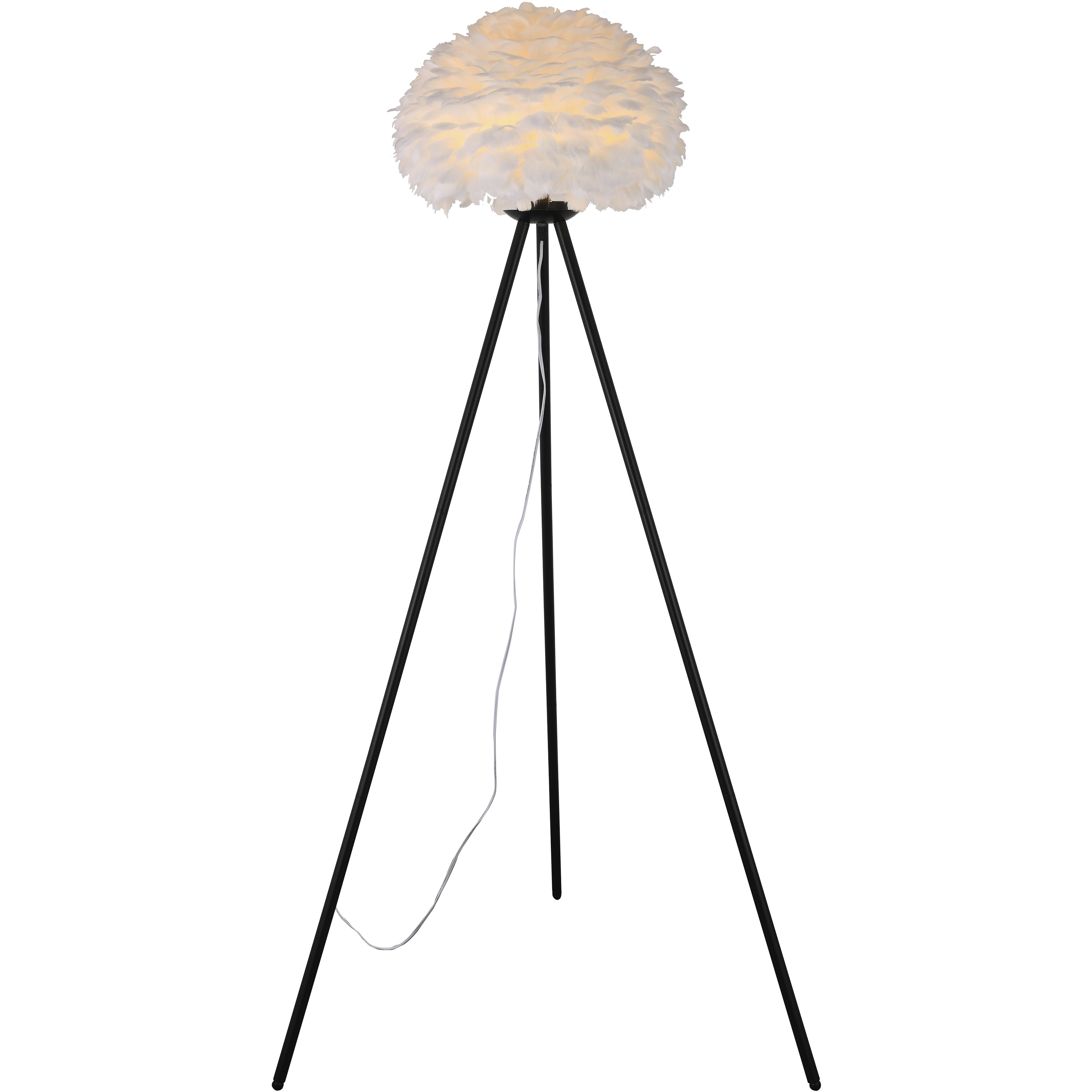 Canada 55 inch 60.00 watt Black Floor Lamp Portable Light
