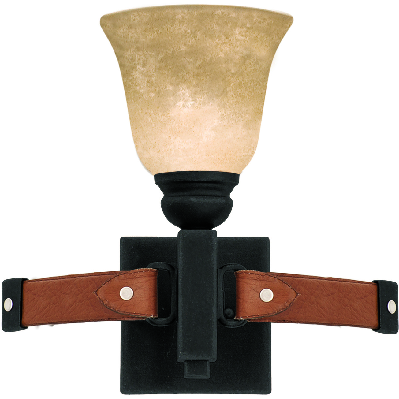 Rodeo Drive 1 Light 13 inch Black Bath Light Wall Light