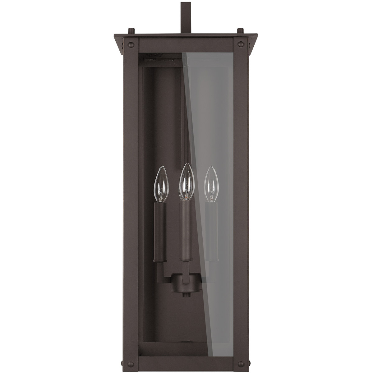 Hunt 4 Light 29 inch Oiled Bronze Outdoor Wall Mount in Incandescent