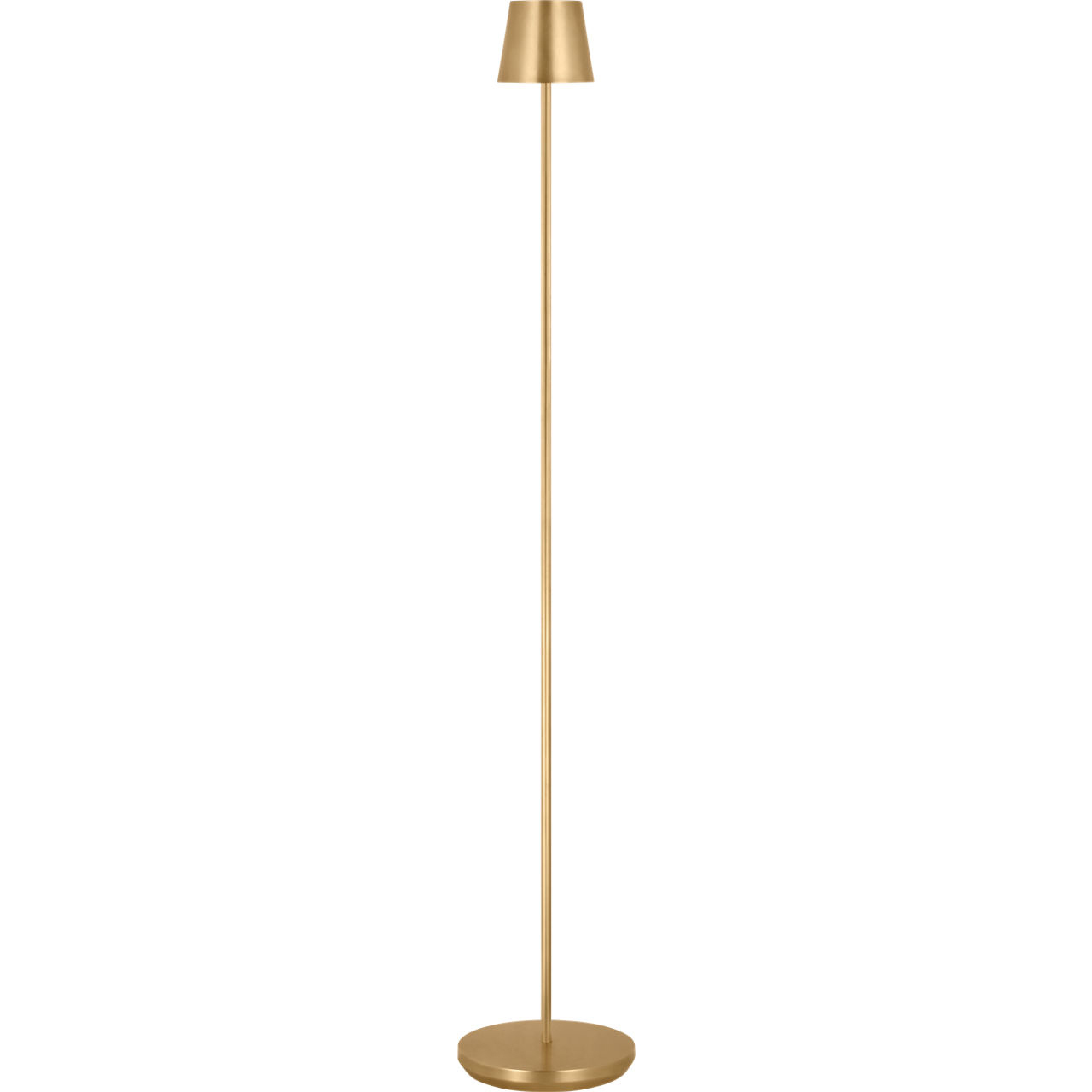 Sean Lavin Nevis 49 inch 2.2 watt Hand Rubbed Antique Brass Rechargeable Floor Lamp Portable Light
