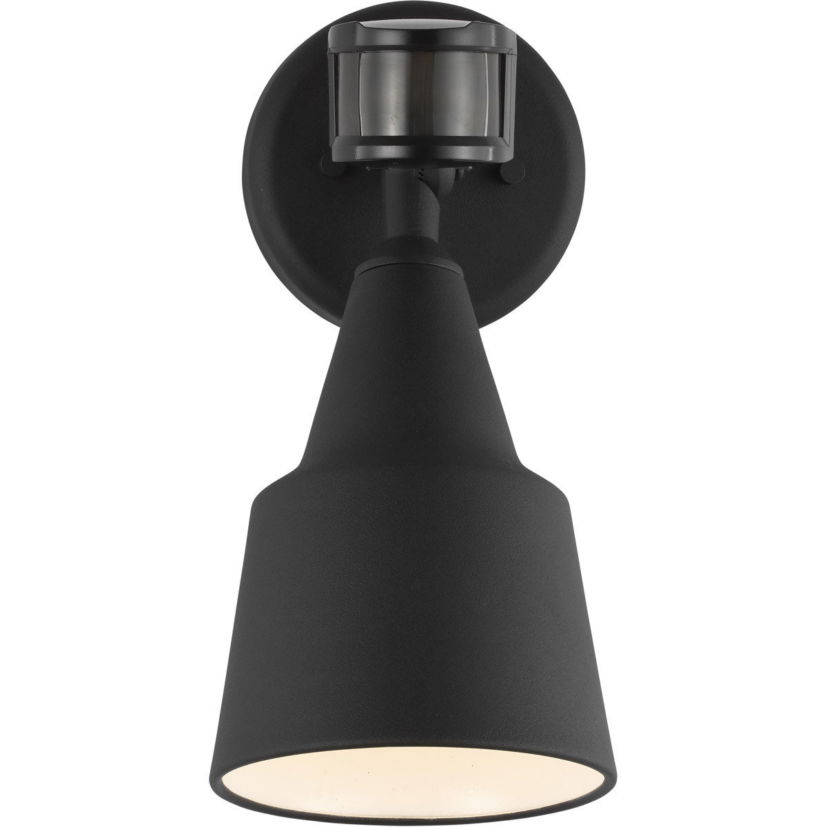 Flood Light 1 Light 12.25 inch Black Outdoor Flood Light, with Photo and Motion Sensor