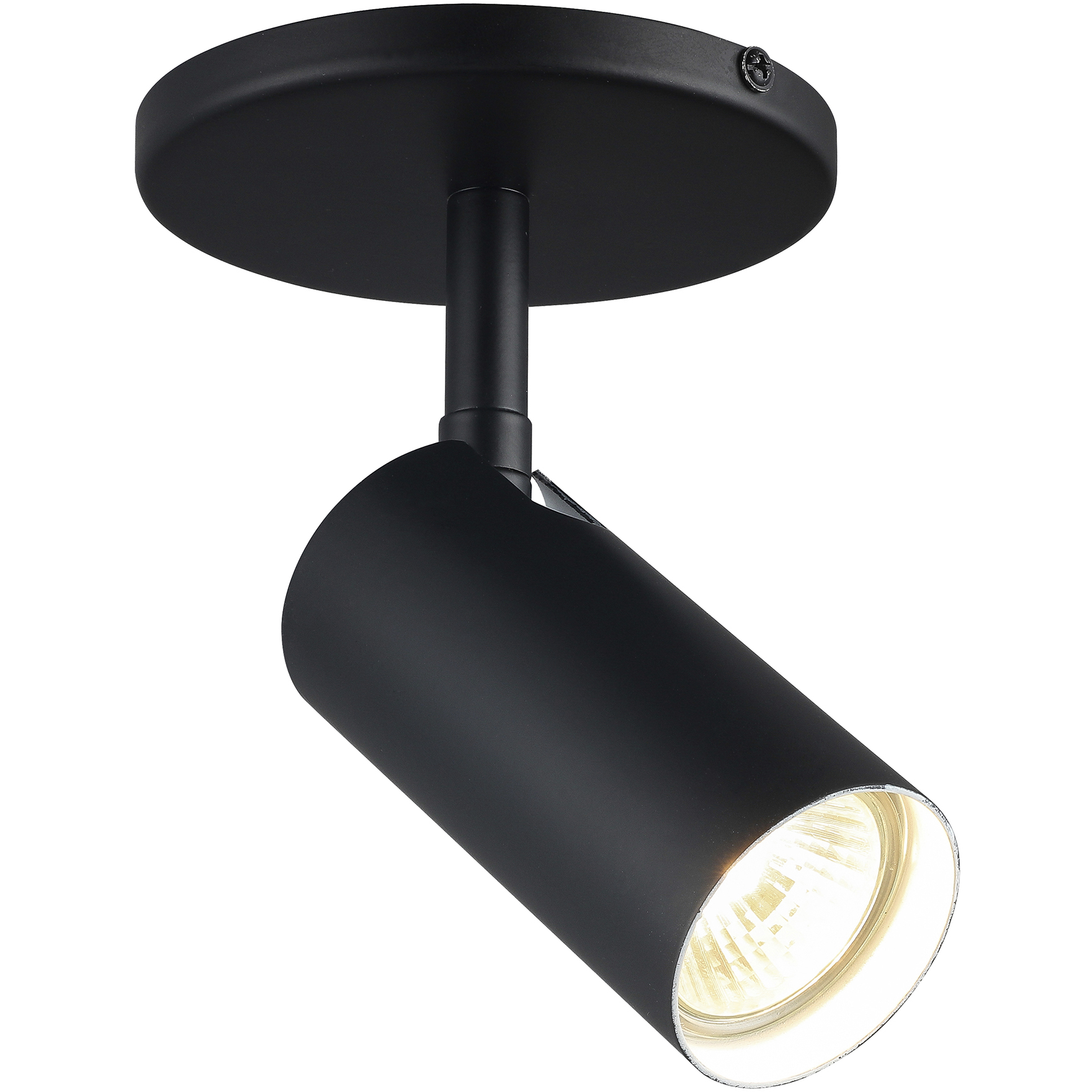 Stanly Matte Black 50 watt 1 Light Spotlight