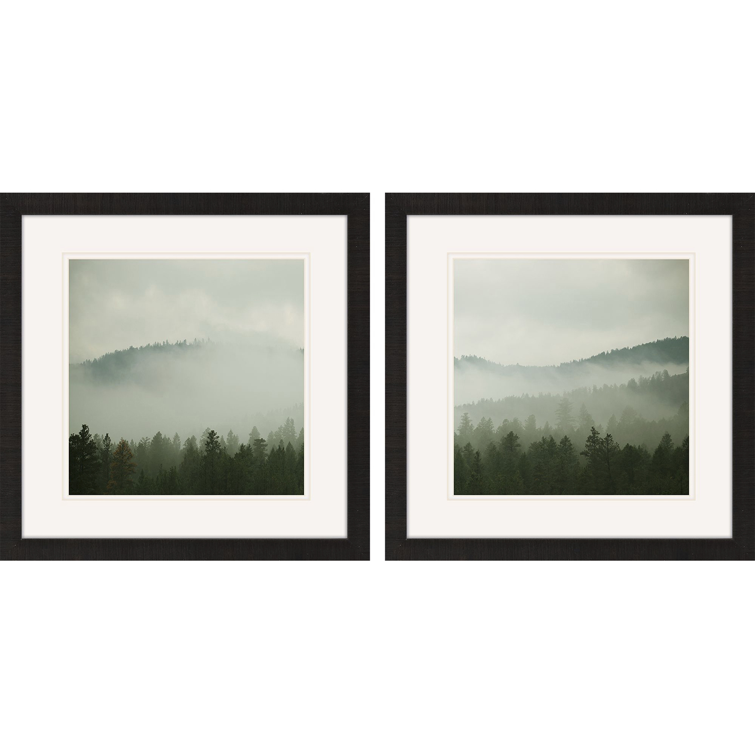 Photography Green Framed Art, Propac