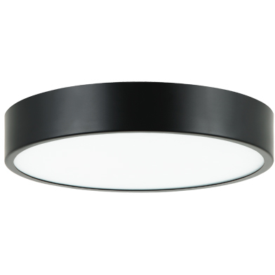 Plato LED 11 inch Black Flush Mount Ceiling Light