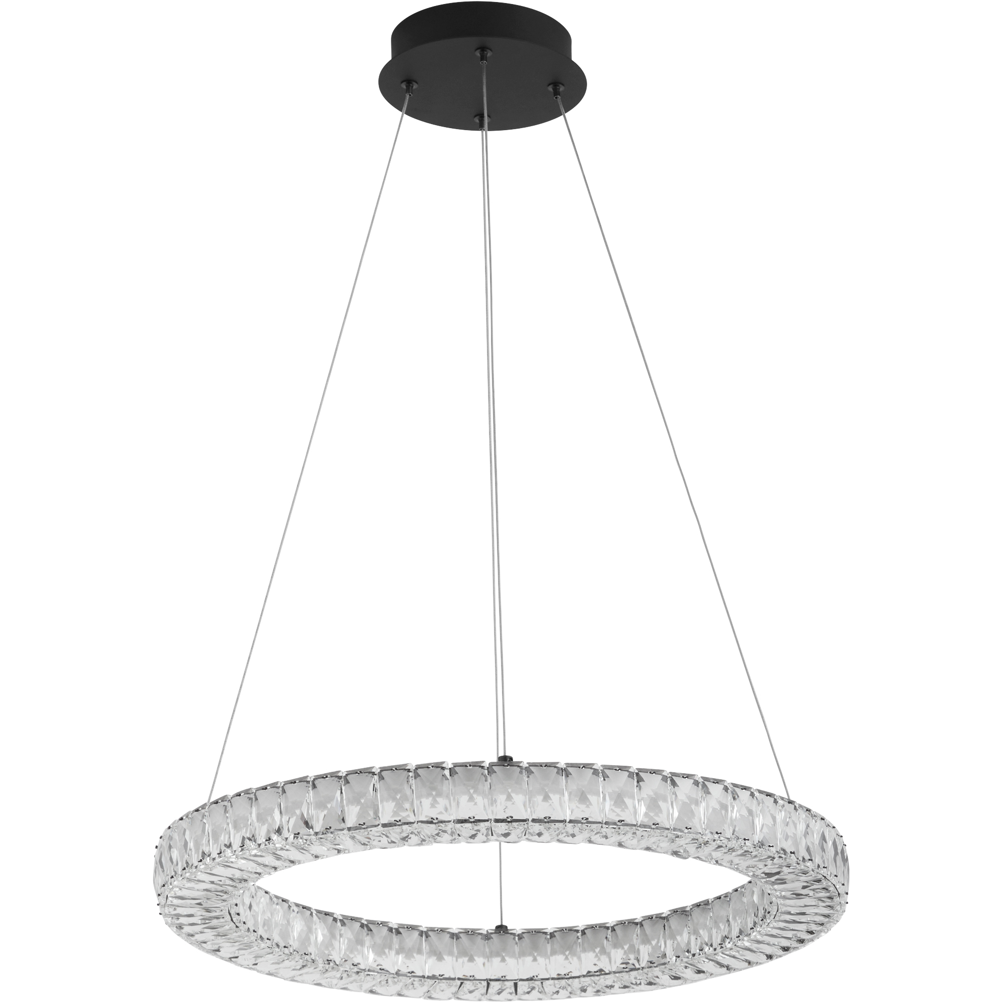 elan LED 24 inch Black Pendant Ceiling Light